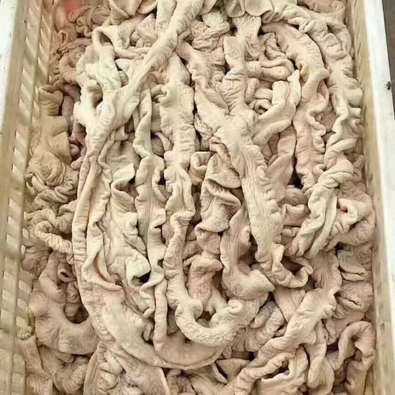 精品预煮大肠一级精品，纯干货，价格不高。