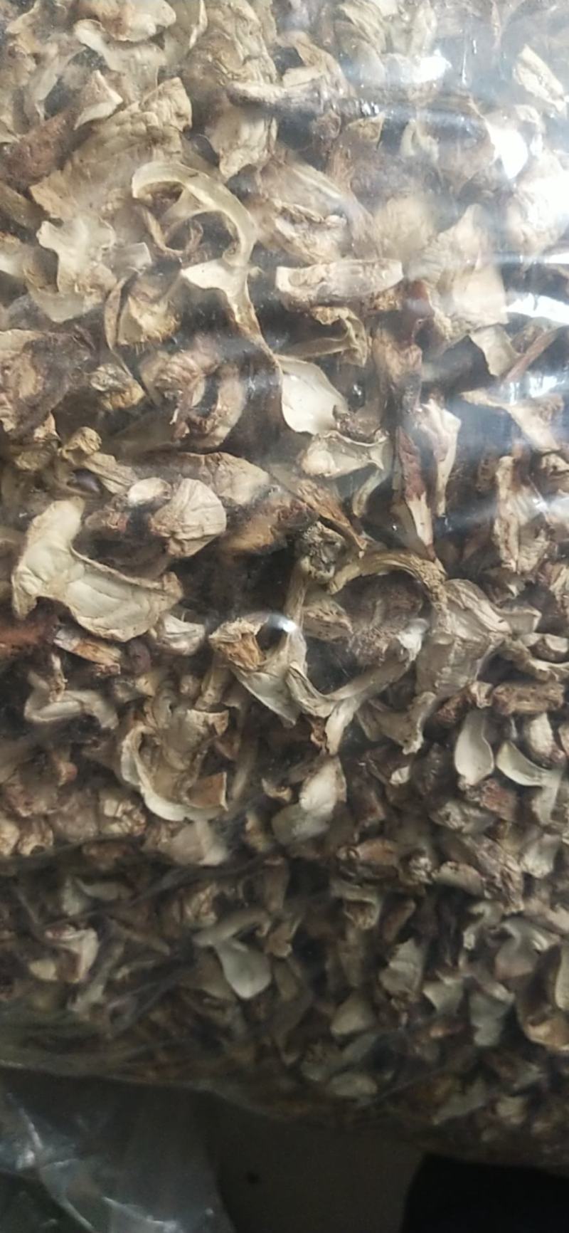 烤干山蘑菇手工切片无蛆虫