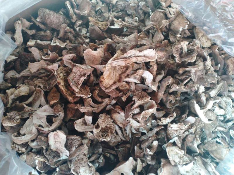 烤干山蘑菇手工切片无蛆虫