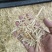 安徽怀远小麦秸秆雪白雪白的草欢迎采购没有想不到的！