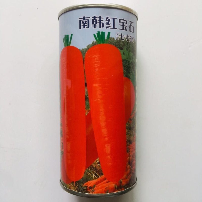 南韩引进原种胡萝卜品种红宝石七寸参胡萝卜种子南北方红