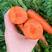 南韩引进原种胡萝卜品种红宝石七寸参胡萝卜种子南北方红