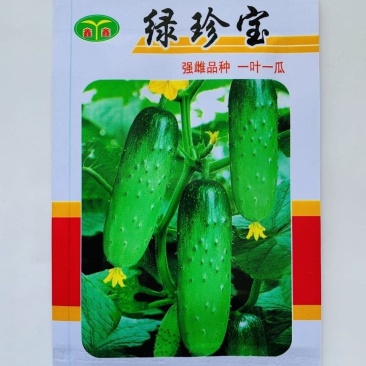 清香水果黄瓜种子强雌性黄瓜品种一叶一瓜春秋瓜果种子南北方