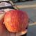 沂蒙山产地红富士苹果产地直销，条红全红红富士苹果
