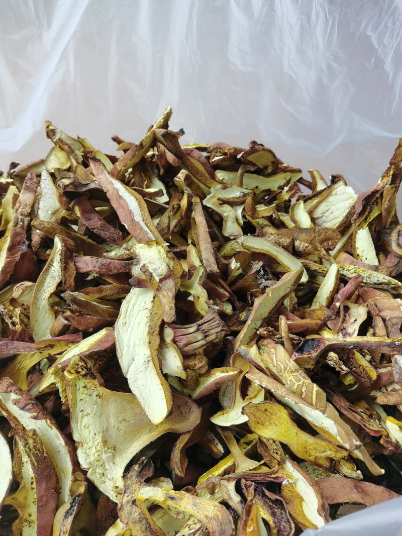 红葱菌干片，红牛肝菌干片，见手青干片，1斤包邮，量大价格