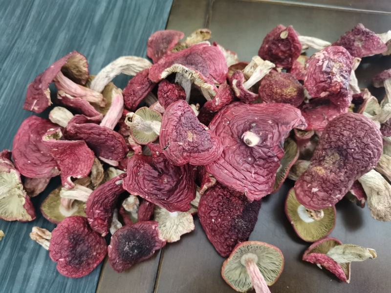 红菇，紫面红菇，蓝底红菇，1斤包邮