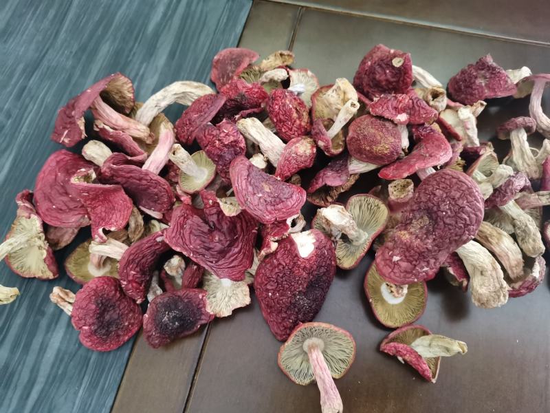 红菇，紫面红菇，蓝底红菇，1斤包邮
