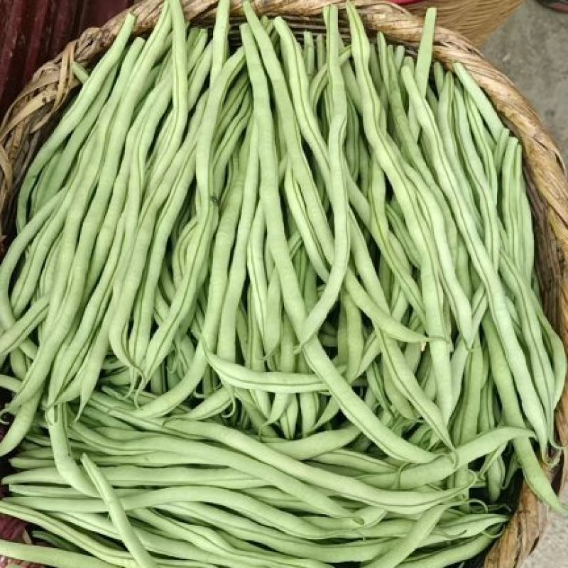 24年徽县新鲜农村架豆王豆角，口感好，产地直发，欢迎咨询