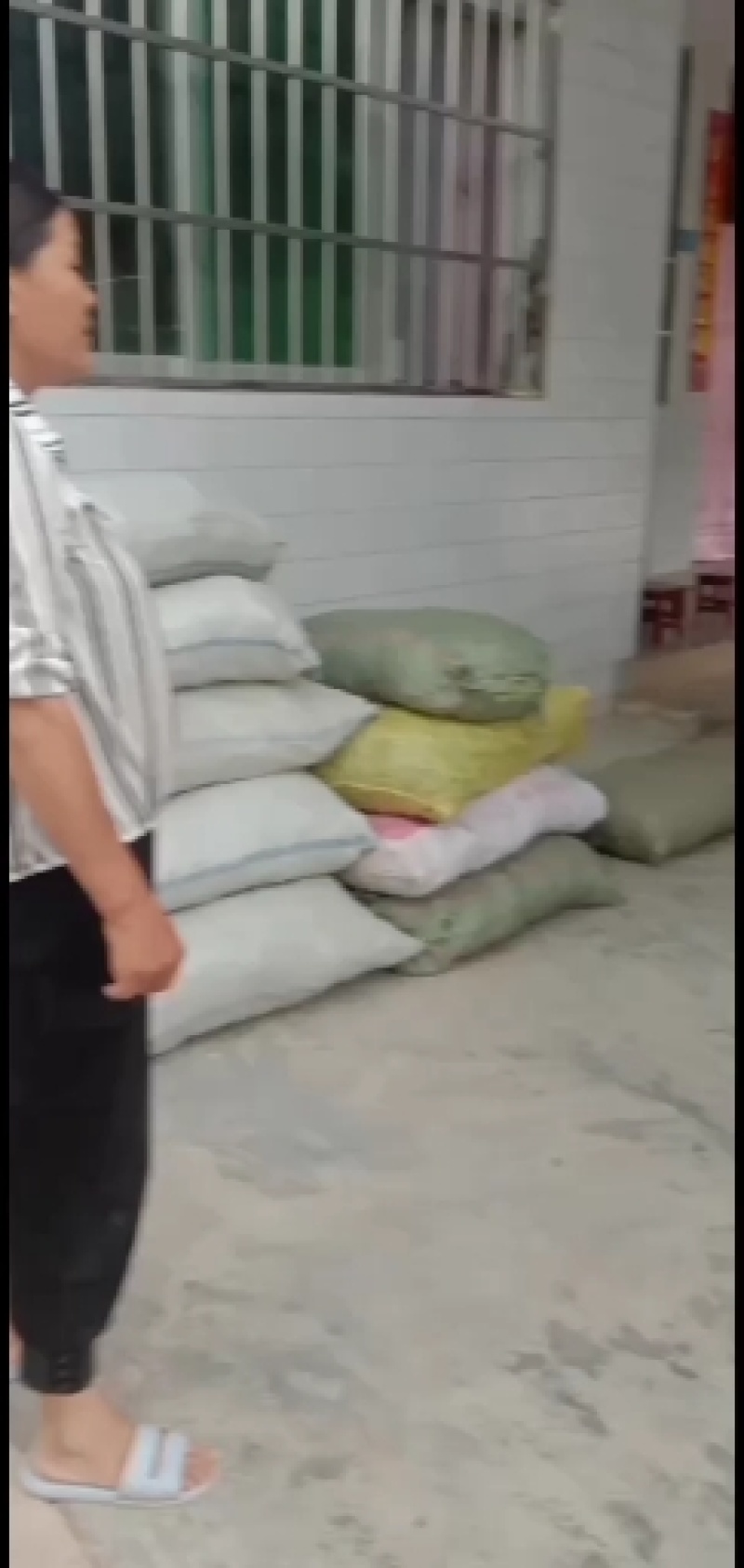 24年徽县新鲜农村架豆王豆角，口感好，产地直发，欢迎咨询
