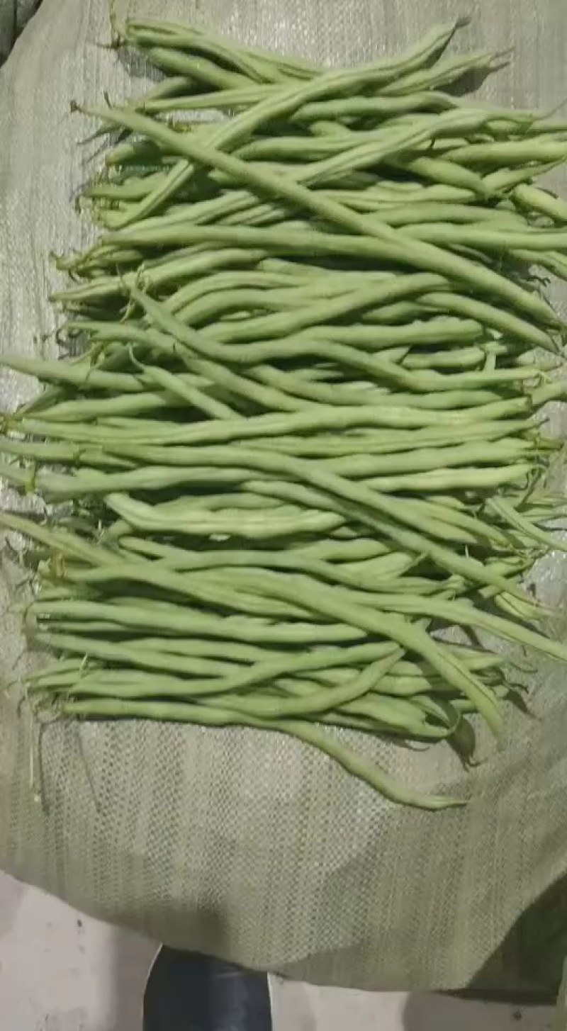 24年徽县新鲜农村架豆王豆角，口感好，产地直发，欢迎咨询