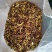 细脚葱菌，高脚葱菌，1斤包邮，量大价格优惠