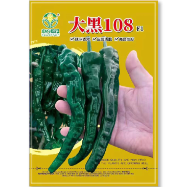 大黑108皱皮椒种子皮薄脆香味大田辣椒种杂交一代