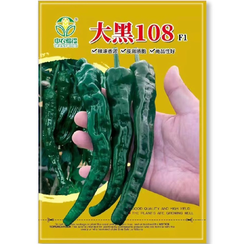 大黑108皱皮椒种子皮薄脆香味大田辣椒种杂交一代