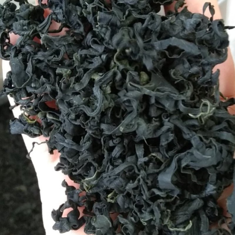 裙带菜中板个头！颗粒螺旋藻！泡发率高无黄叶绿嫩！电商推广