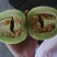 精品大棚头茬绿博特青皮甜瓜大量上市批发口感脆甜
