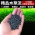 水草泥鱼缸底砂草缸造景套餐不浑水底沙垫底基肥免洗水草泥