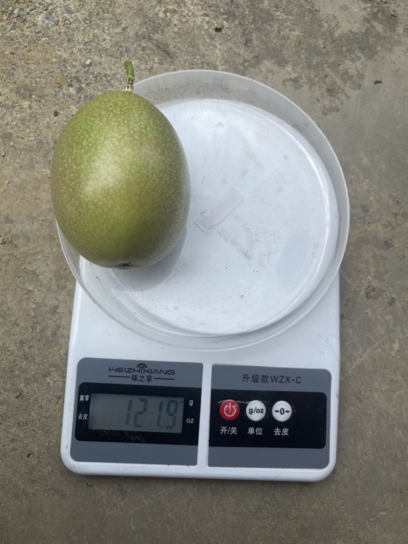 百香果台农精品大果皮色光泽有亮度口感非常不错👍