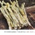 新货临安天目山笋干500g天然小竹笋250g纯农家笋干