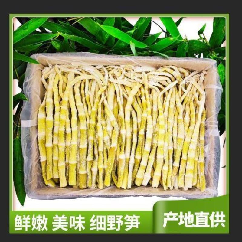 小笋竹笋干天目笋新鲜春笋袋装笋尖盐焗小竹笋火锅笋天目扁笋