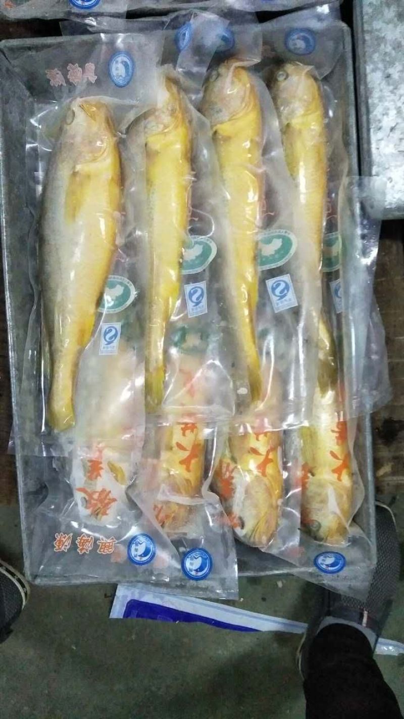 山东精品黄花鱼，产地一手货源，全国发货，欢迎进店选购