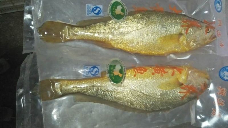 山东精品黄花鱼，产地一手货源，全国发货，欢迎进店选购