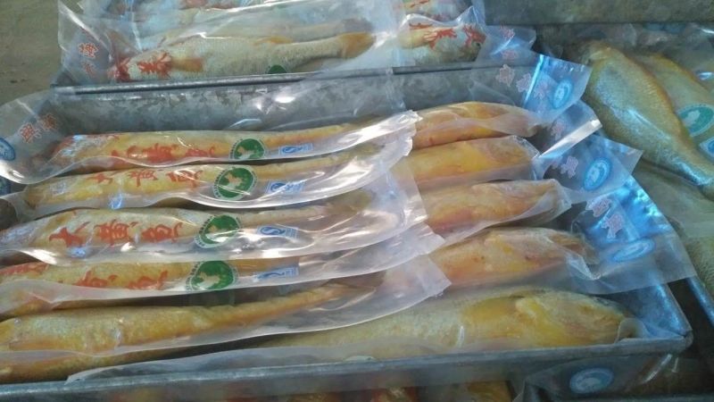 山东精品黄花鱼，产地一手货源，全国发货，欢迎进店选购