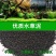 【鱼缸造景】水草泥鱼缸底沙优质水草泥净水版水草泥鱼缸造景