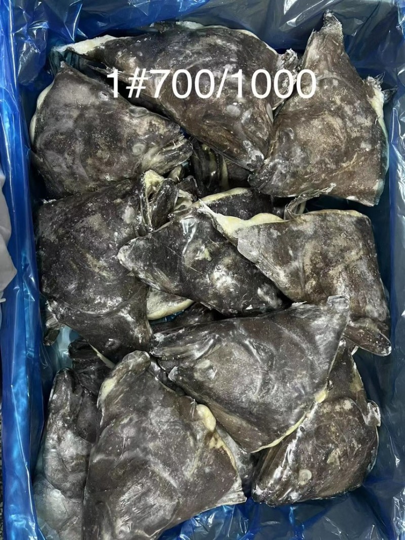 格陵兰鲽鱼，鸦片鱼