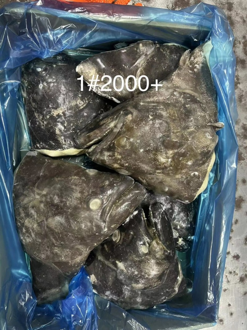 格陵兰鲽鱼，鸦片鱼
