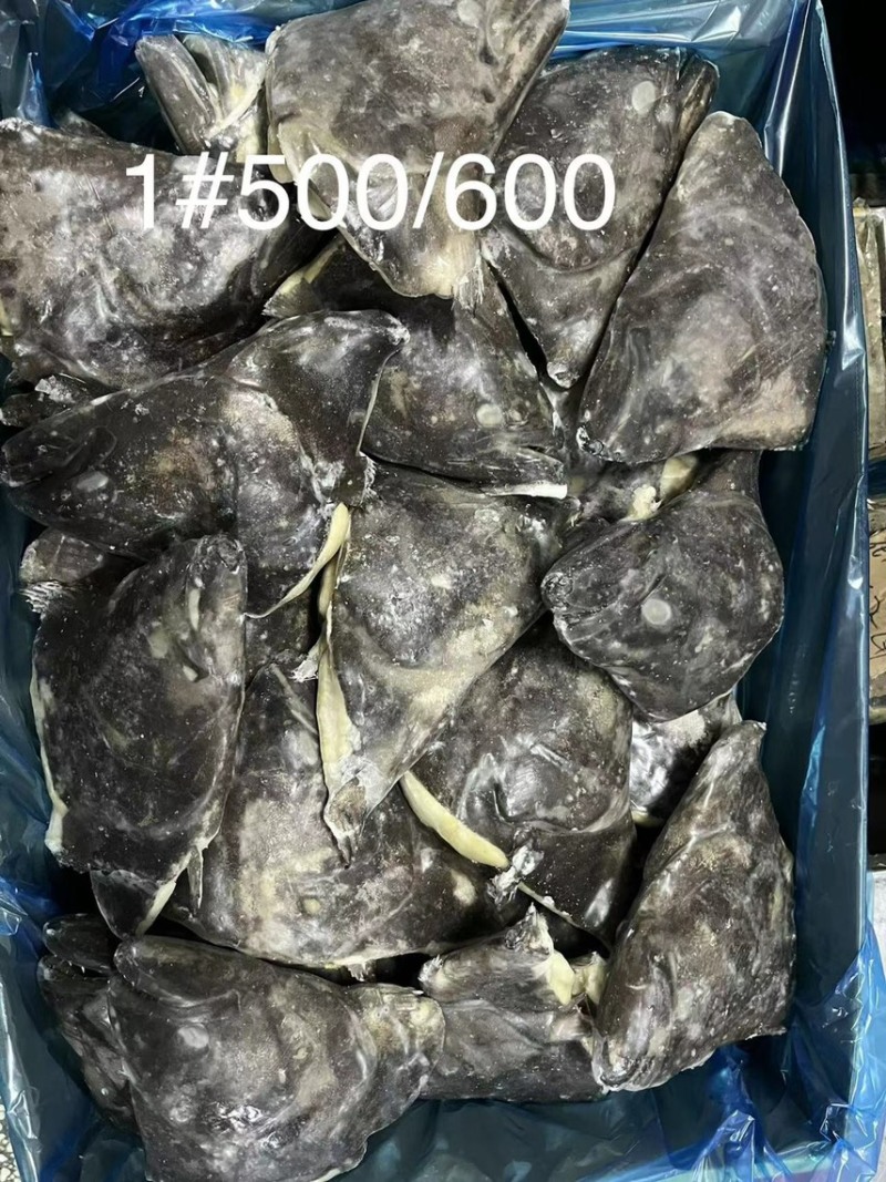 格陵兰鲽鱼，鸦片鱼