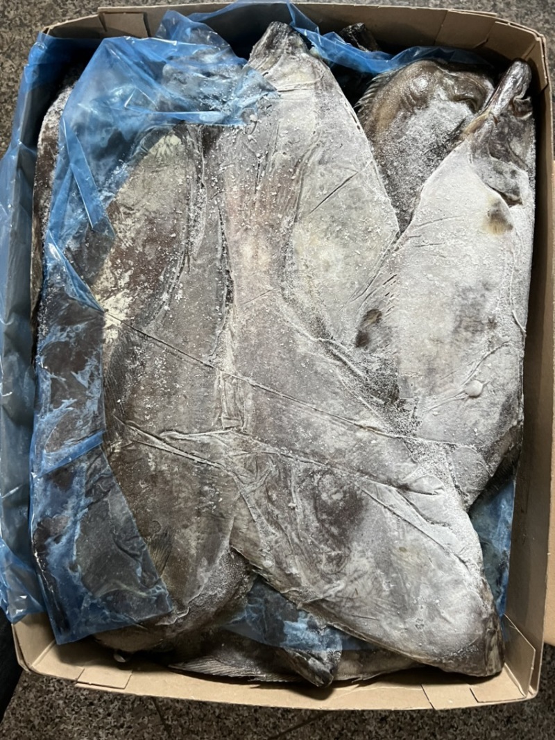 格陵兰鲽鱼，鸦片鱼