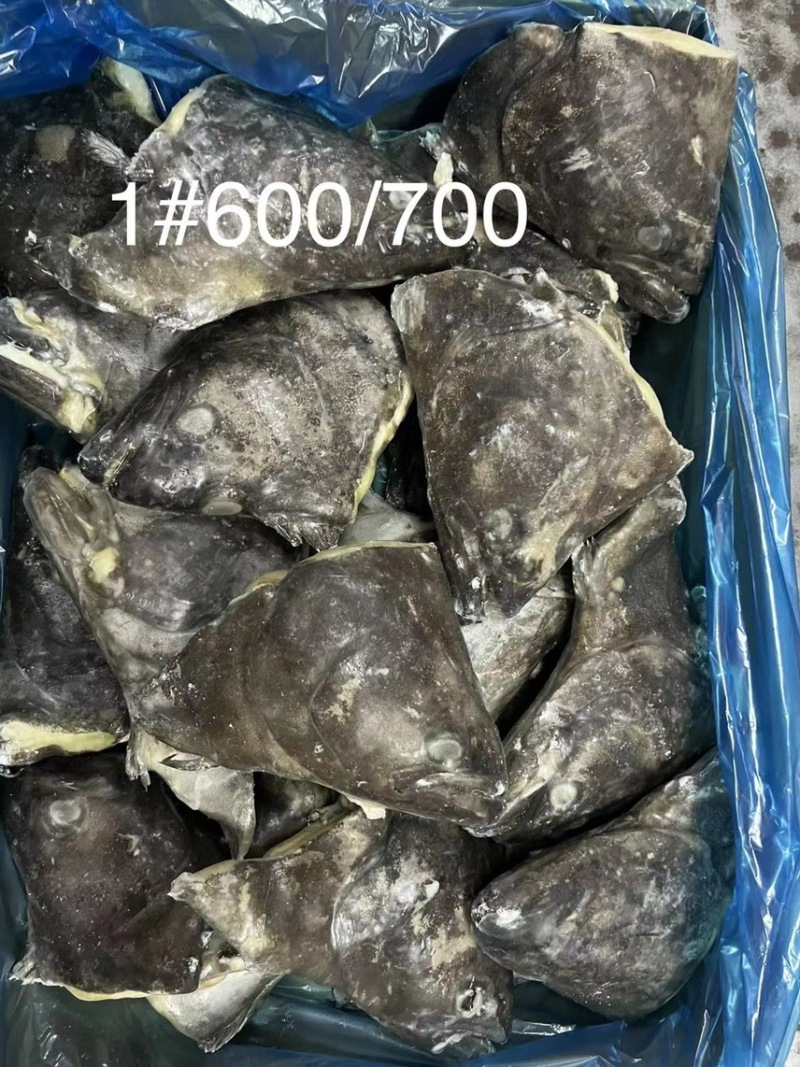 格陵兰鲽鱼，鸦片鱼