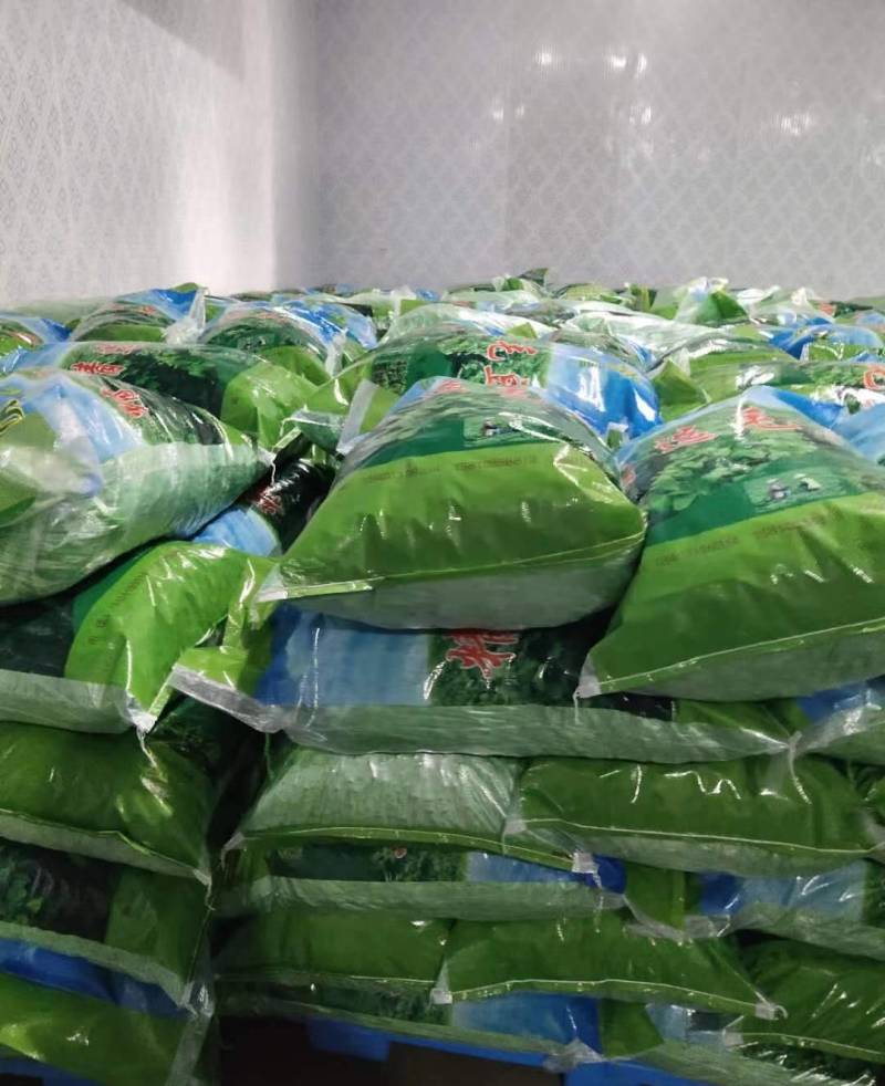 精品毛豆徐州沛县毛豆翠绿宝绿宝石基地直供