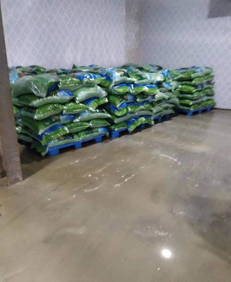优质毛豆全国发货基地直供诚信经营货源充足