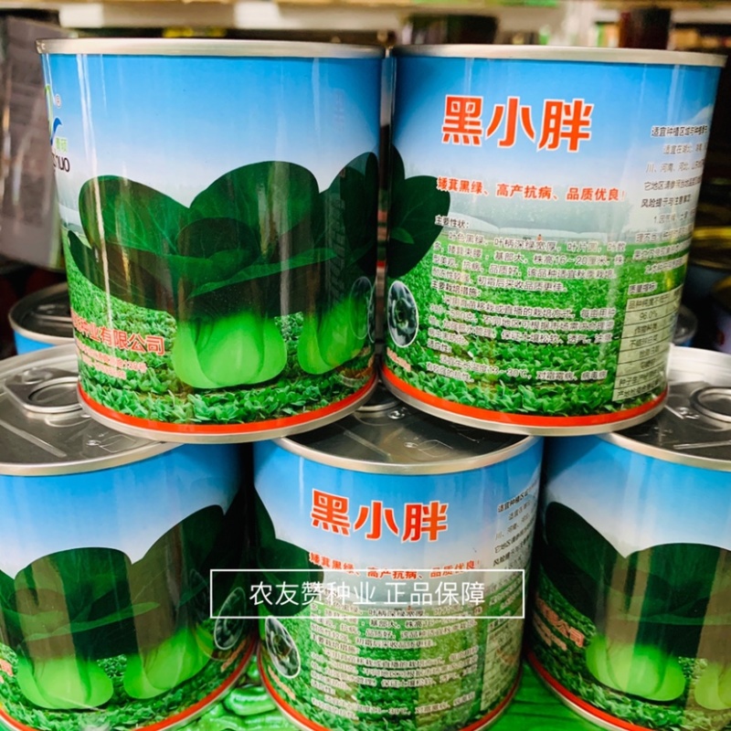 青硕黑小胖青梗菜种子黑叶苏州青种子矮萁黑绿青菜种籽油菜种