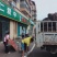 贵州杜仲