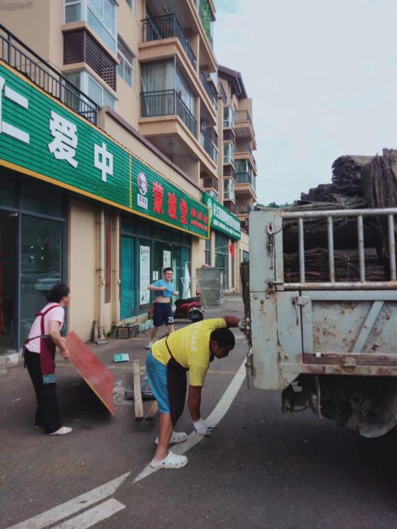 贵州杜仲