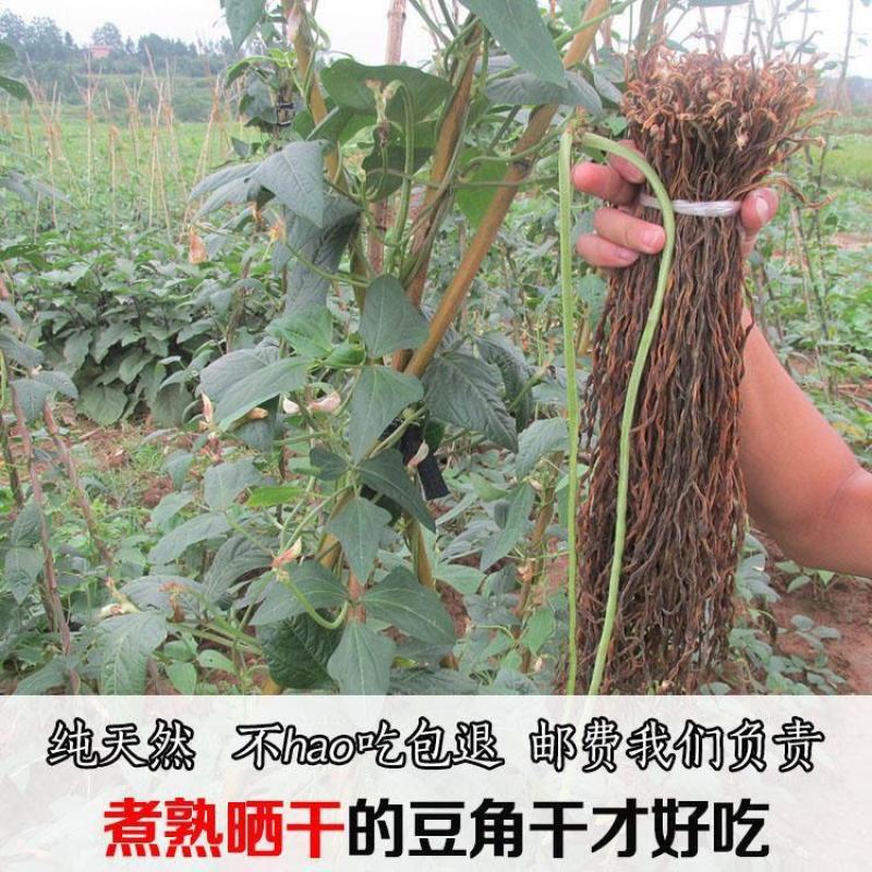 【包邮_5斤干豆角】热销湖南特产农家自制干豆角2斤3斤