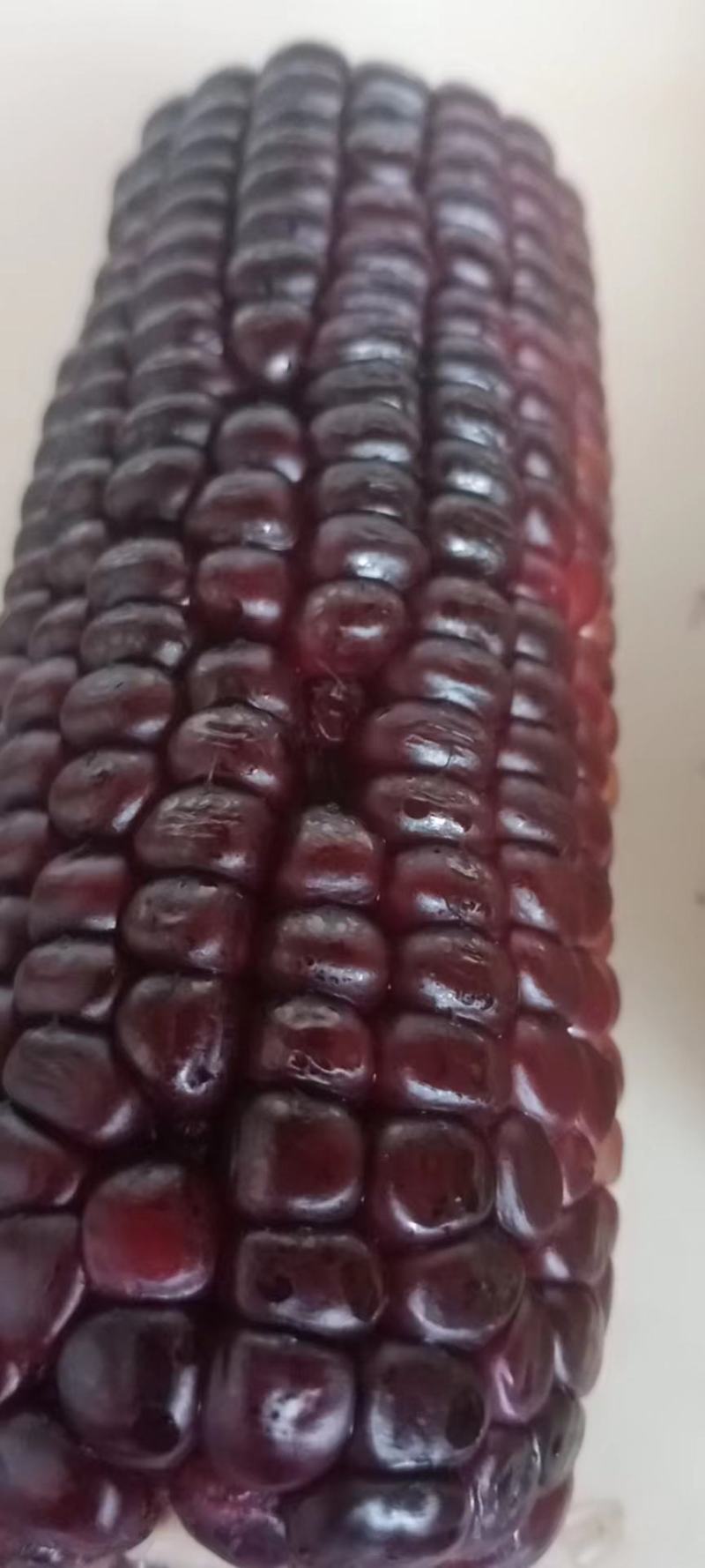 万糯玉米2000，白，黄，花，黑玉米大量上市中。
