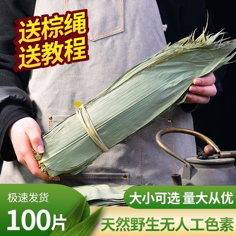 干粽叶天然粽子叶麻竹叶新鲜大叶家用包粽子粽叶大号批发棕叶