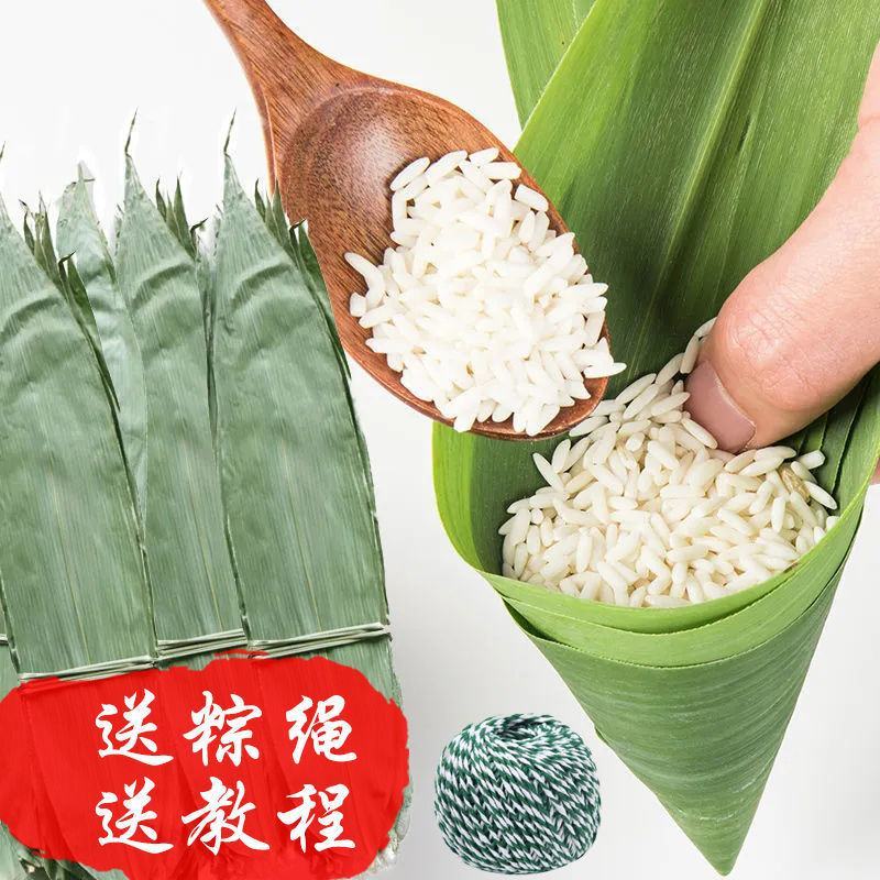 干粽叶天然粽子叶麻竹叶新鲜大叶家用包粽子粽叶大号批发棕叶