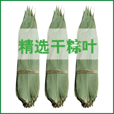 粽叶免邮新鲜干粽子叶大号粽粑叶竹叶包粽子的叶子棕叶竹包邮