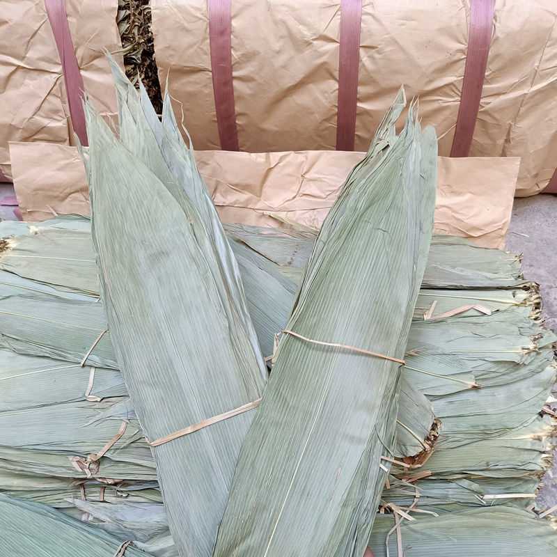 粽叶免邮新鲜干粽子叶大号粽粑叶竹叶包粽子的叶子棕叶竹包邮
