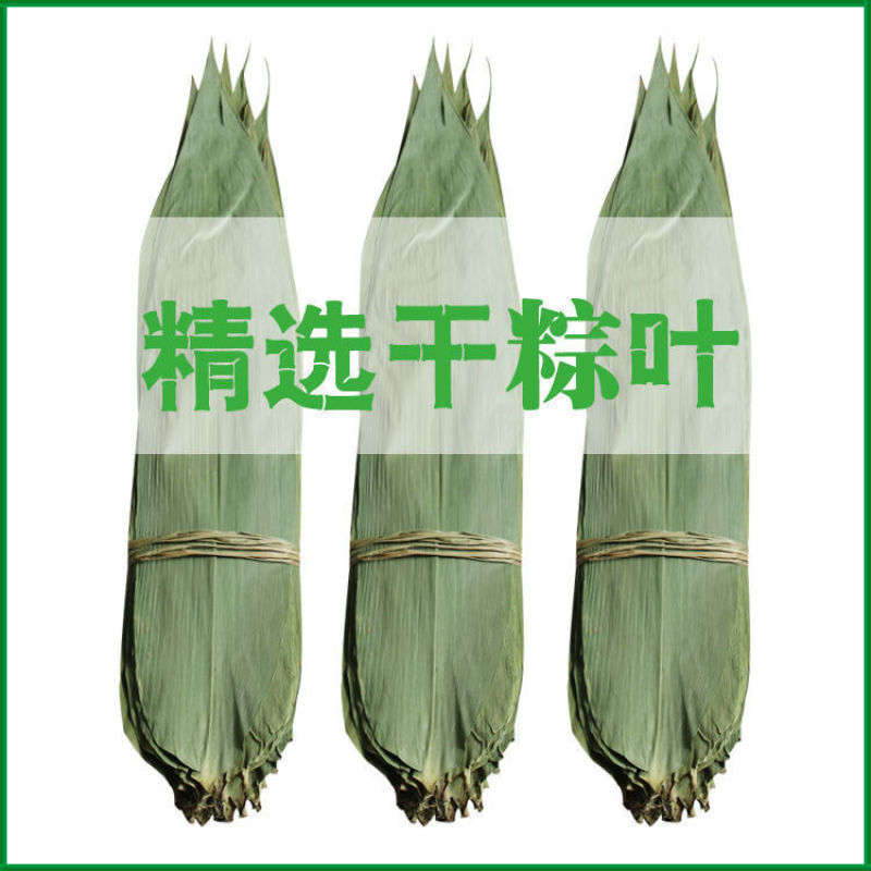 粽叶免邮新鲜干粽子叶大号粽粑叶竹叶包粽子的叶子棕叶竹包邮