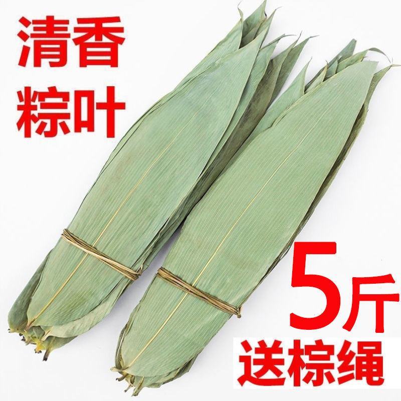 粽叶免邮新鲜干粽子叶大号粽粑叶竹叶包粽子的叶子棕叶竹包邮
