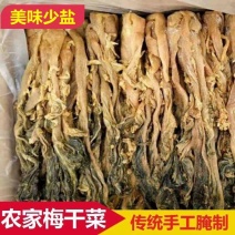 特级无盐梅菜干梅干菜干货梅干菜正宗梅菜梅干菜批发腌制下饭