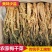 特级无盐梅菜干梅干菜干货梅干菜正宗梅菜梅干菜批发腌制下饭