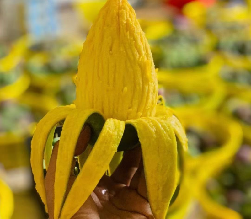 广西芒果贵妃芒果金煌芒小台农芒果桂七芒5/10斤