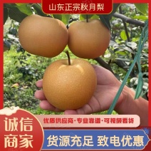 秋月梨海量货源大量供应市场美团仓多多仓直播电商一件代发