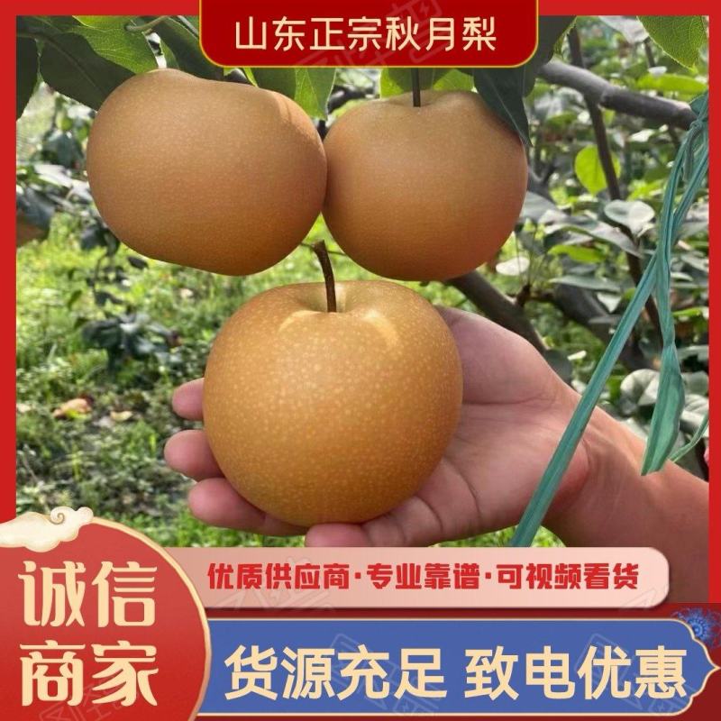 秋月梨海量货源大量供应市场美团仓多多仓直播电商一件代发